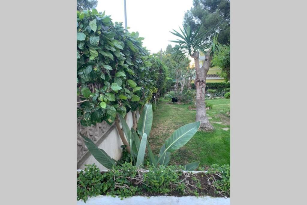 Apartamento LA DORADA Torremolinos Bagian luar foto